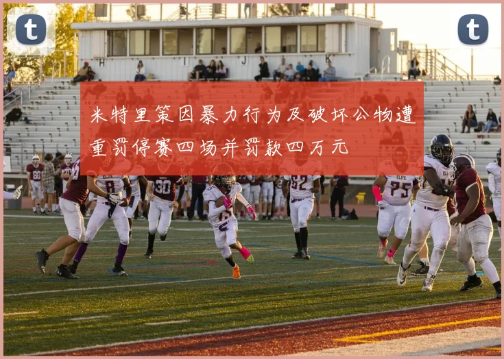 米特里策因暴力行为及破坏公物遭重罚停赛四场并罚款四万元